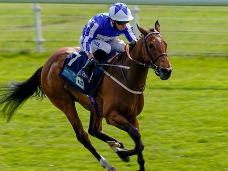 Preview : Gr.2 Coventry Stakes 2021 (Preview, 2021 Full ... Image 1